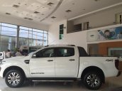 Ford Thái Bình bán ô tô Ford Ranger Wiltrak, đủ màu, nhập khẩu chính hãng, giá tốt nhất tại Thái Bình