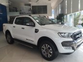 Ford Thái Bình bán ô tô Ford Ranger Wiltrak, đủ màu, nhập khẩu chính hãng, giá tốt nhất tại Thái Bình