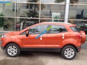 Bán xe Ford EcoSport Titanium 2017, đủ màu, hỗ trợ trả góp 80% tại Bắc Ninh