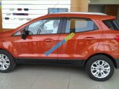 Bán xe Ford EcoSport Titanium 2017, đủ màu, hỗ trợ trả góp 80% tại Bắc Ninh