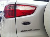 Bán xe Ford EcoSport 1.5 Titanium đời 2017, màu trắng, dủ màu, giao xe luôn. Liên hệ 0945103989 nhân giá tốt nhất