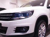 Bán Volkswagen Tiguan đời 2016, màu trắng, nhập khẩu nguyên chiếc