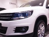 Bán Volkswagen Tiguan DA đời 2016, màu trắng, nhập khẩu nguyên chiếc, khuyến mãi 50% phí trước bạ