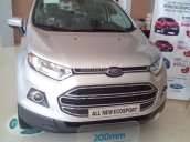 Bán xe Ford EcoSport Titanium đời 2017, màu bạc, 602 triệu, giao xe luôn, đủ màu. Gọi ngay 0945103989 nhận giá tốt nhất