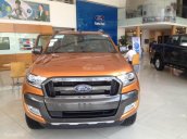 Bán ô tô Ford Ranger Wiltrak đời 2017, nhiều màu, nhập khẩu chính hãng nguyên chiếc, giá cạnh tranh nhất tại Lào Cai