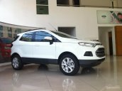 Cần bán xe Ford EcoSport 1.5 Titanium đời 2017, giá tốt 596 triệu, đủ màu, tặng phụ kiện giá trị