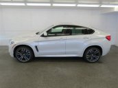 BMW X6 M sản xuất 2015 full option màu xanh và trắng hàng vip