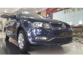 Cần bán Volkswagen Polo MT đời 2015, màu xanh lam, xe nhập, 699tr