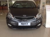 Cần bán Kia Rio đời 2015, màu bạc, xe nhập