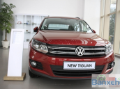 Cần bán xe Volkswagen Tiguan năm 2015, màu đỏ