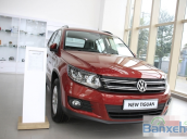 Cần bán xe Volkswagen Tiguan năm 2015, màu đỏ