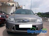 Cần bán xe Ford Escape 2.3L XLS AT đời 2009, màu xám