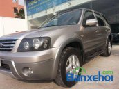 Ford Escape 2.3L XLT 4x4 Limited 2007 cần bán