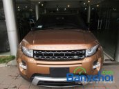 Bán LandRover Range Rover Evoque đời 2014, màu nâu, xe nhập