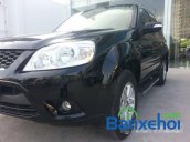 Cần bán Ford Escape 2.3L XLS AT đời 2011, màu đen