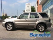 Ford Escape 2.3L XLT 4x4 Limited 2007 cần bán