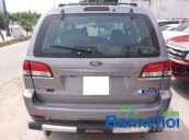 Cần bán xe Ford Escape 2.3L XLS AT đời 2009, màu xám