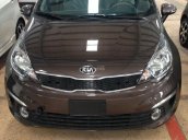 Bán xe Kia Rio sản xuất 2015, màu nâu, xe nhập, giá tốt, hỗ trợ trả góp 70%