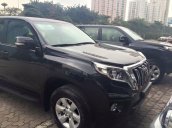 Cần bán xe Toyota Land Cruiser đời 2015, nhập khẩu xe đẹp