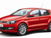 Bán ô tô Volkswagen Polo E đời 2017, màu đỏ, xe nhập