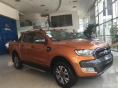 Ninh Bình Ford Bán Ford Ranger Wildtrak 3.2, trả góp giao xe tại Ninh Bình, xe nhập