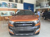 Ninh Bình Ford Bán Ford Ranger Wildtrak 3.2, trả góp giao xe tại Ninh Bình, xe nhập