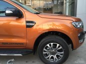 Ford Hòa Bình bán xe Ford Ranger Wildtrack 2.2 AT đời 2018, xe nhập, trả góp tại Hòa Bình