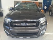 Thái Nguyên Ford bán xe Ford Ranger Wiltrak Roller, nhiều màu, nhập khẩu chính hãng, giá rẻ nhất