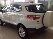 Bán Ford EcoSport đời 2015, màu trắng 