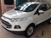 Bán Ford EcoSport đời 2015, màu trắng 