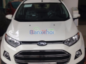 Bán Ford EcoSport đời 2015, màu trắng 