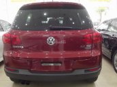 Bán Volkswagen Tiguan sản xuất 2014, màu đỏ, xe nhập khẩu nguyên chiếc còn mới 98%