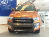 Cần bán Ford Ranger đời 2015, nhập khẩu chính hãng