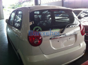 Cần bán Chevrolet Spark Van đời 2015, màu trắng, nhập khẩu chính hãng