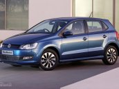 Cần bán xe Volkswagen Polo E sản xuất 2017, màu xanh lam, xe nhập