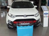 Bán xe Ford EcoSport đời 2015, màu trắng