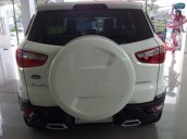 Bán xe Ford EcoSport đời 2015, màu trắng