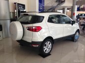 Bán xe Ford EcoSport 1.5L AT Titanium đời 2018, đủ các màu giao xe ngay, trả góp 80% xe, LS 0.6% - LH: 0911447166