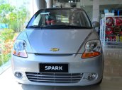 Spark Van: 02 chỗ ngồi, dung tích 0.8, số sàn, điều hòa hai chiều, tay lái trợ lực