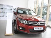 Cần bán xe Volkswagen Tiguan đời 2015, màu đỏ, nhập khẩu chính hãng