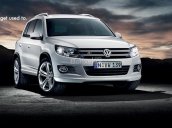 Cần bán xe Volkswagen Tiguan model 2016, màu bạc