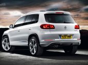 Cần bán xe Volkswagen Tiguan model 2016, màu bạc