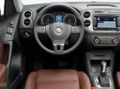 Cần bán xe Volkswagen Tiguan model 2016, màu bạc