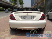 Cần bán lại xe Mercedes SLK200 đời 2010, màu trắng, chính chủ