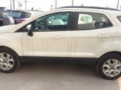 Cần bán Ford EcoSport đời 2015, màu trắng, nhập khẩu chính hãng, giá tốt