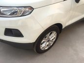 Cần bán Ford EcoSport đời 2015, màu trắng, nhập khẩu chính hãng, giá tốt