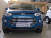 Cần bán Ford EcoSport đời 2015, xe đẹp 