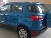 Cần bán Ford EcoSport đời 2015, xe đẹp 