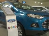 Cần bán Ford EcoSport đời 2015, xe đẹp 