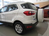 Bán ô tô Ford EcoSport đời 2015, màu trắng